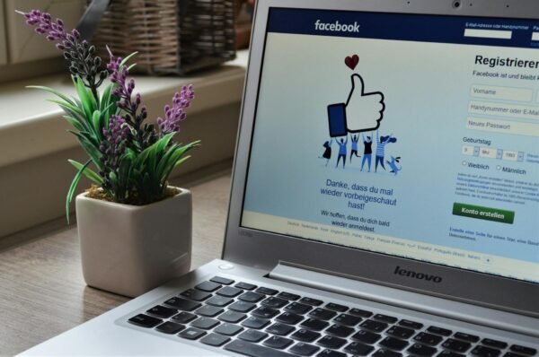 Facebook or Instagram Ad Campaign Management 15 days